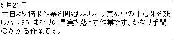 eLXg {bNX: 521
{EʍƂJn܂B^񒆂̒SʂcnT~ł܂̉ʎ𗎂ƂƂłBȂԂ̂ƂłB