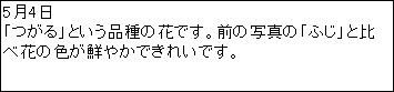 eLXg {bNX: 54
uvƂỉԂłBO̎ʐ^́uӂvƔ׉Ԃ̐FN₩łꂢłB